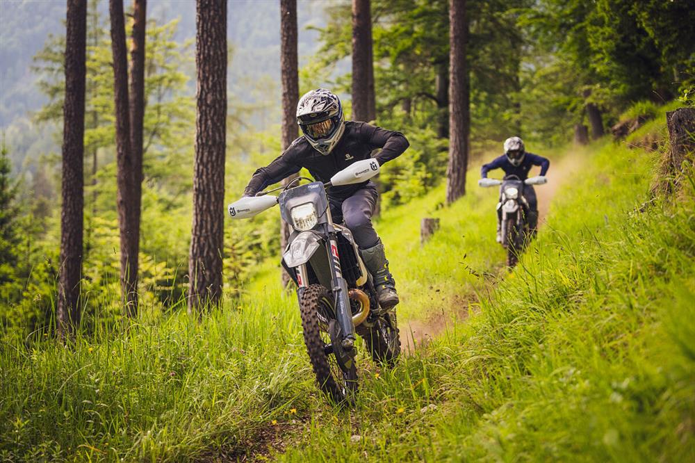 TE 300 Pro and FE 350 Pro 2024 riding in woodland